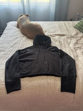 ALO Yoga Black Cropped Hoodie with Grommet Detail